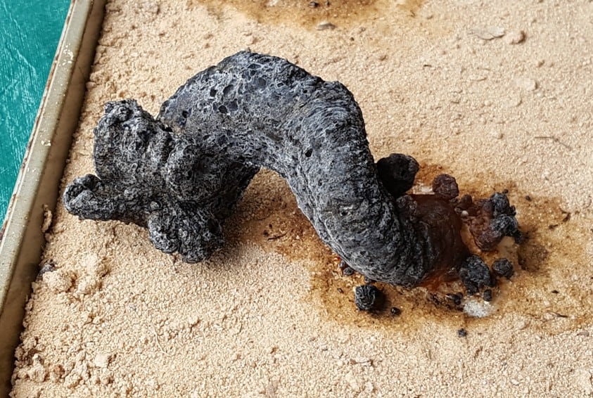 image of curving black snake carbon ash