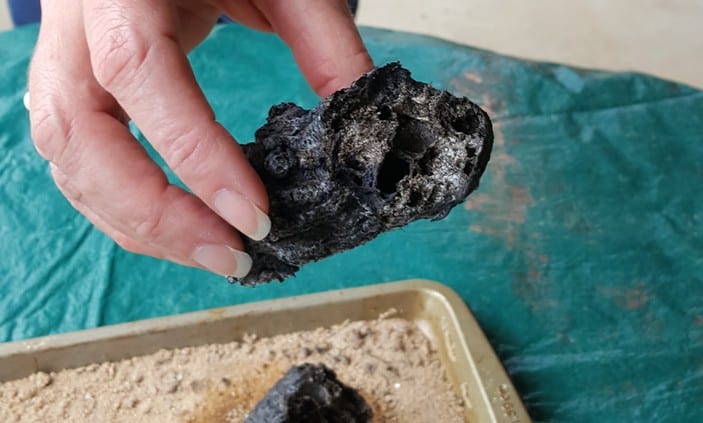 image of hand holding one of the black snakes showing the inside