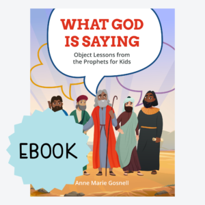 cover for WGIS ebook